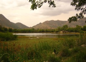 Dam 6 at Elabered Agricultural Estate, Eritrea