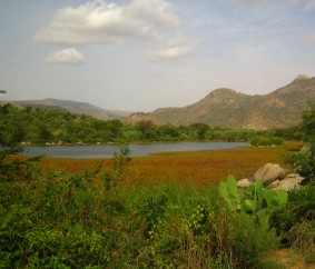 Dam 6 at Elabered provides some of the best birdwatching