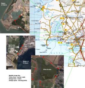 Birdwatching Map for the Oristano Area