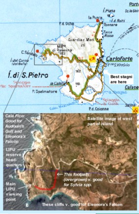 Isola di San Pietro Island Map