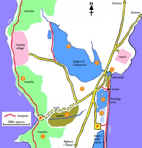 Stintino Birdwatching Map